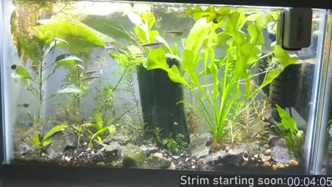 Booker Baxton online show from December 15, 4:07 am