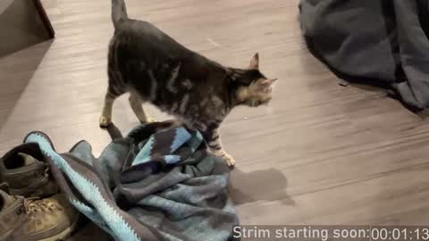 Booker Baxton online show from December 28, 4:08 am