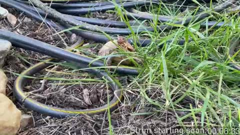 Booker Baxton online show from March 5, 4:02 am