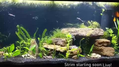 Booker Baxton online show from September 19, 3:08 am