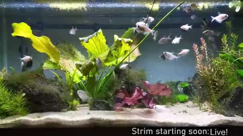 Booker Baxton online show from September 25, 3:10 am