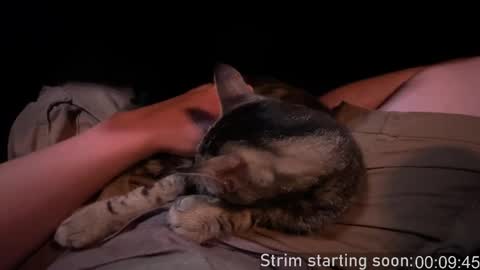 Booker Baxton online show from September 28, 3:01 am