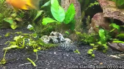 Booker Baxton online show from October 16, 3:07 am