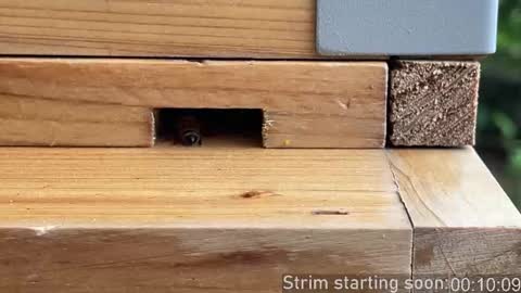 Booker Baxton online show from October 22, 2:56 am