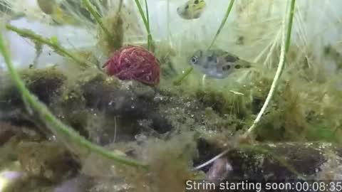 Booker Baxton online show from November 6, 4:02 am