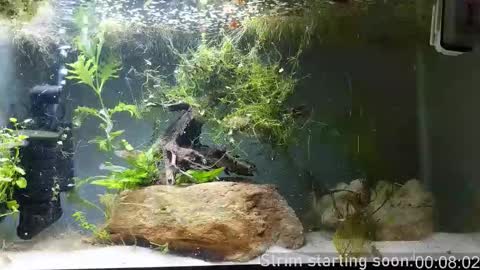 Booker Baxton online show from November 12, 4:02 am