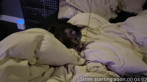 Booker Baxton online show from December 17, 4:07 am