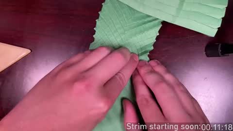 Booker Baxton online show from January 13, 3:56 am