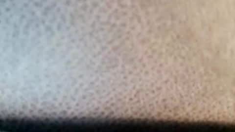 Snapshot of boolika chatting on March 11, 10:53 pm Boolika online show from March 11, 10:53 pm