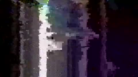 boredaf6678 online show from December 5, 1:25 am