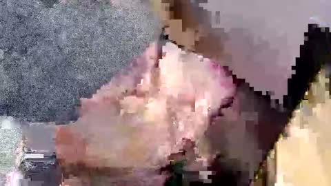 Snapshot of bossram160 chatting on September 27, 7:52 pm bossram160 online show from September 27, 7:52 pm