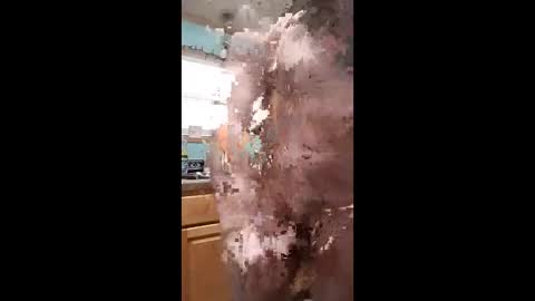 Snapshot of bossusaround chatting on January 11, 10:04 pm bossusaround online show from January 11, 10:04 pm