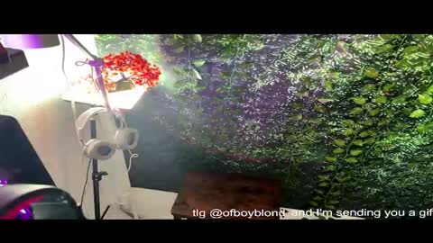boyblondhetero online show from February 22, 11:42 am