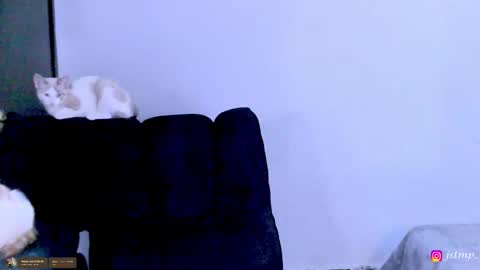 miguel  online show from November 24, 3:06 am