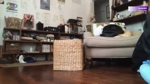 Snapshot of boywithbug chatting on March 12, 6:44 pm boywithbug online show from March 12, 6:44 pm