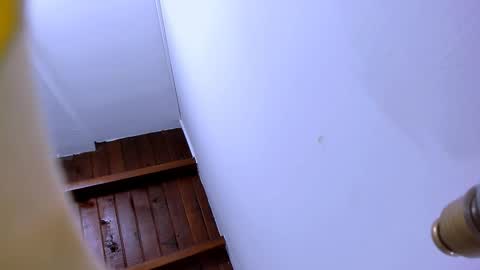 Snapshot of brand_hades chatting on October 7, 2:03 pm B R A N D online show from October 7, 2:03 pm