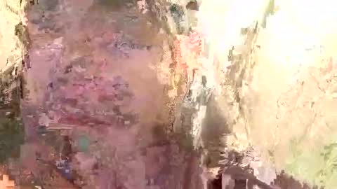 Snapshot of brandon_white_3 chatting on January 14, 11:53 am Brandon online show from January 14, 11:53 am