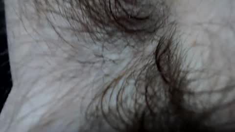 Snapshot of branflakes_ chatting on February 21, 11:10 pm branflakes_ online show from February 21, 11:10 pm