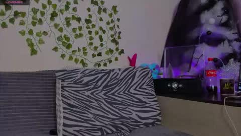 Snapshot of bravo_maestro chatting on January 13, 8:03 pm Johny Bravo online show from January 13, 8:03 pm