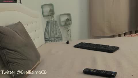 Snapshot of brell_line chatting on February 17, 1:32 pm Brelland online show from February 17, 1:32 pm