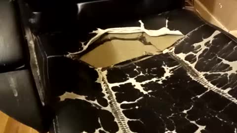 Snapshot of brian0169 chatting on December 14, 1:33 am BB online show from December 14, 1:33 am