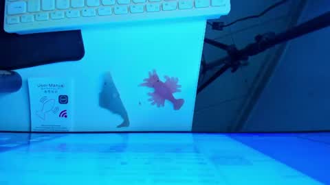 Snapshot of britanny_jones1 chatting on July 20, 12:40 pm B R I T A N N Y online show from July 20, 12:40 pm