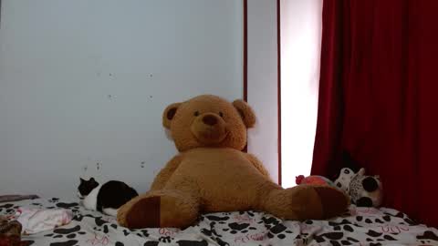 maru miaw   Please help me to reach 100 thumbs up online show from November 12, 3:01 pm