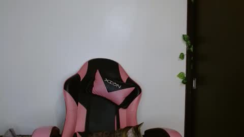 Snapshot of brittany_bubbles chatting on February 20, 4:20 am maru miaw Please help me to reach 100 thumbs up online show from February 20, 4:20 am