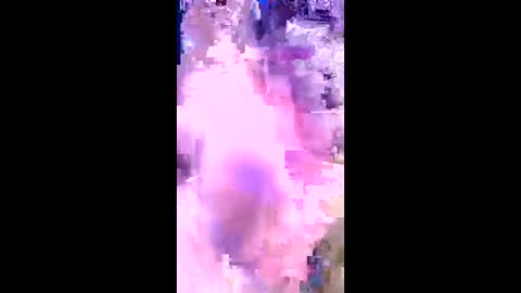 britzchris online show from March 3, 10:10 am