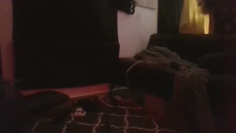 broad90210 online show from January 18, 8:18 am