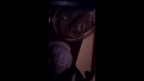 Brobator-gator online show from February 19, 12:39 am