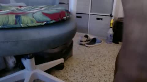 bruceb124u online show from May 24, 10:48 pm