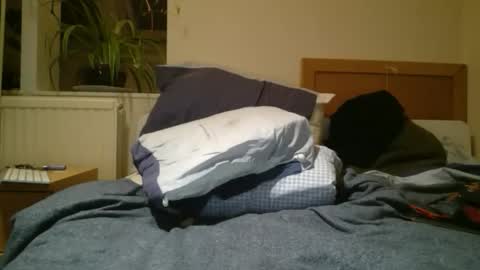 hardForYou hard new cum finger online show from October 11, 8:40 pm