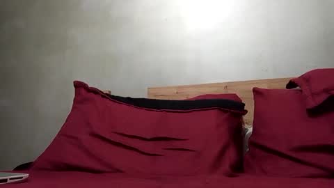 Snapshot of brushbarton_ chatting on February 21, 4:51 am BRUSH BARTON online show from February 21, 4:51 am