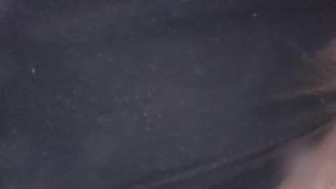 Snapshot of buddyluvzumore chatting on October 19, 4:35 am buddyluvzumore online show from October 19, 4:35 am