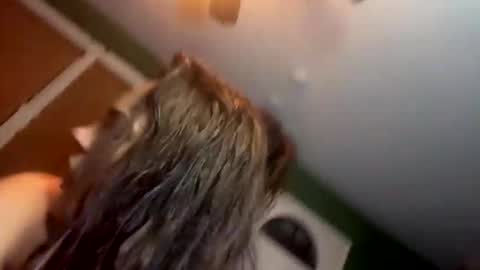 Snapshot of bugnbabs chatting on November 28, 12:57 am Yourtrippyhippy online show from November 28, 12:57 am