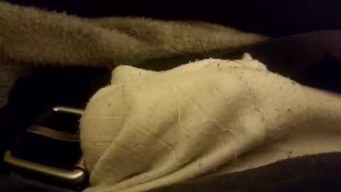 Snapshot of bulkyboners chatting on February 7, 7:01 am ejaculation for 250 online show from February 7, 7:01 am