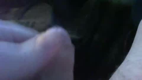 bullemoe online show from September 30, 5:23 am