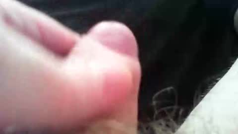 bullemoe online show from November 4, 1:32 pm