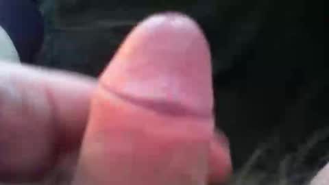 bullemoe online show from November 5, 7:41 am