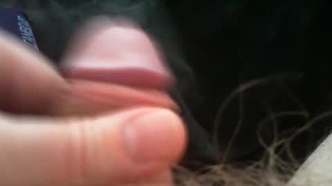 bullemoe online show from March 6, 7:05 am