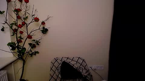 Ariel online show from March 25, 9:10 pm