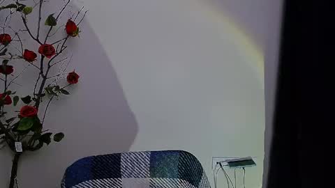 Ariel online show from April 28, 8:03 pm