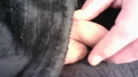 Snapshot of burnside13 chatting on March 16, 7:29 pm Hamish online show from March 16, 7:29 pm