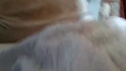 Buster18Hymen online show from February 1, 10:08 pm