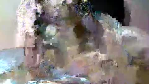 butler_yung online show from May 12, 9:12 pm