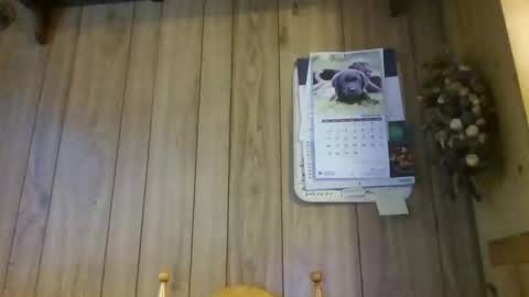 c4u58 online show from February 1, 11:20 am