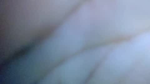 Snapshot of cactus_1041 chatting on June 15, 7:43 am Cactus1041 online show from June 15, 7:43 am