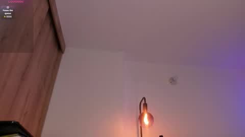 Snapshot of cameron_lyra chatting on November 25, 1:49 am Cameron online show from November 25, 1:49 am