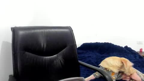Cami online show from June 12, 4:22 am